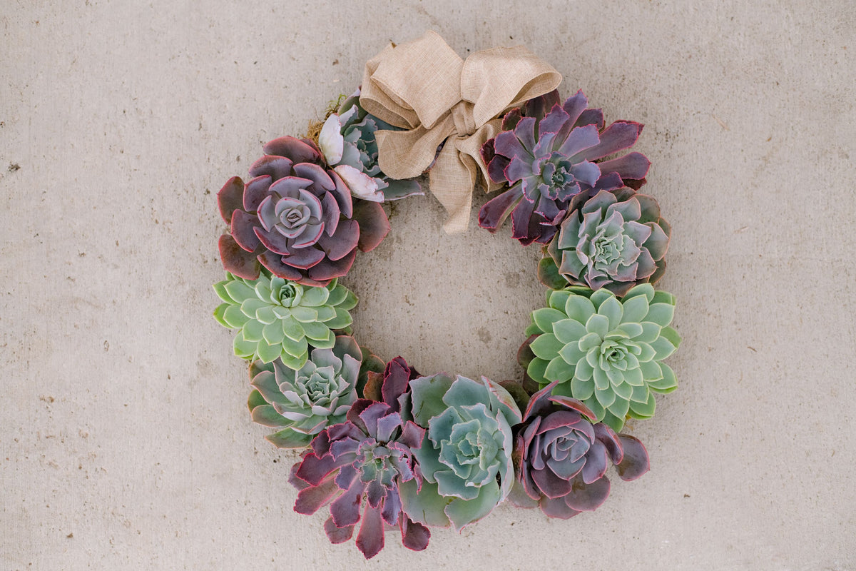 succulent wire wreath Succulent Wreath Arrangement