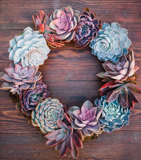 wreath with succulents Succulent Wreath Arrangement
