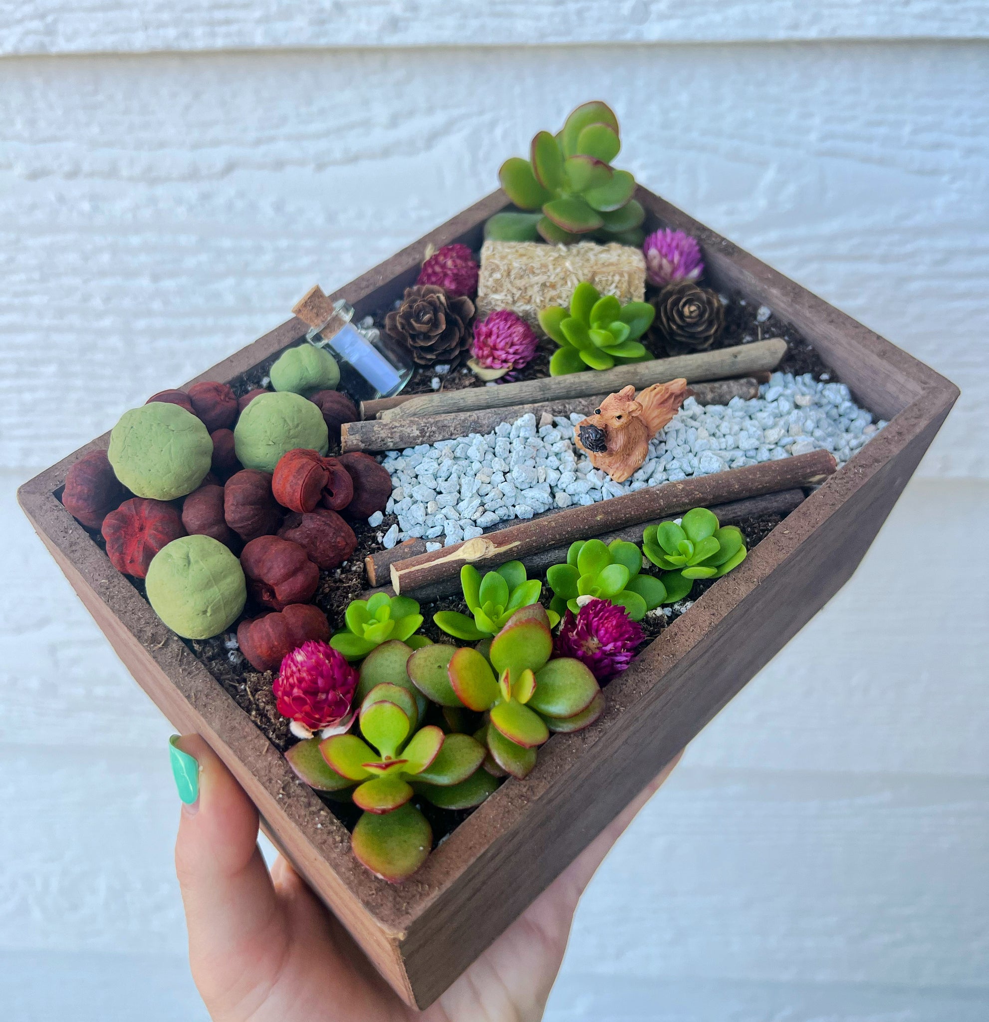 succulent planter kits DIY Pumpkin Patch Fairy Garden Kit