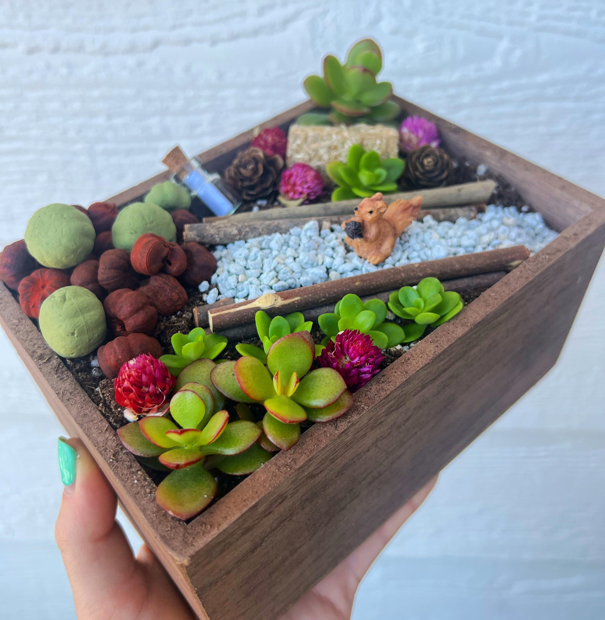 succulent craft kit DIY Pumpkin Patch Fairy Garden Kit – In Succulent Love