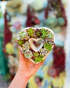 cement succulent planter diy DIY Succulent Cement Heart Planter Kit