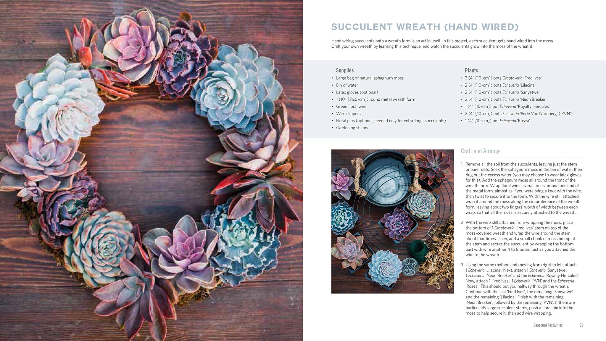 diy succulents book Stylish Succulent Designs & Other Botanical Crafts DIY Book – In Succulent Love