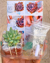 Meditative Terrarium DIY Kit