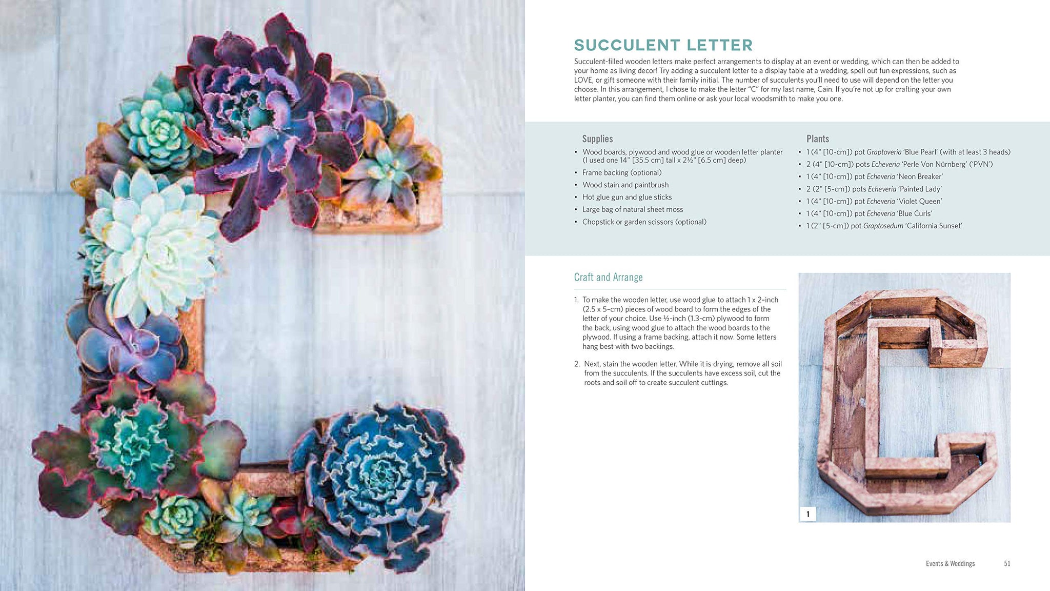 best book on succulents Stylish Succulent Designs & Other Botanical Crafts DIY Book – In Succulent Love