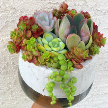 Glitz Planter