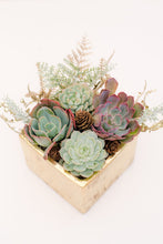 DIY Glitzy Succulent Planter Kit