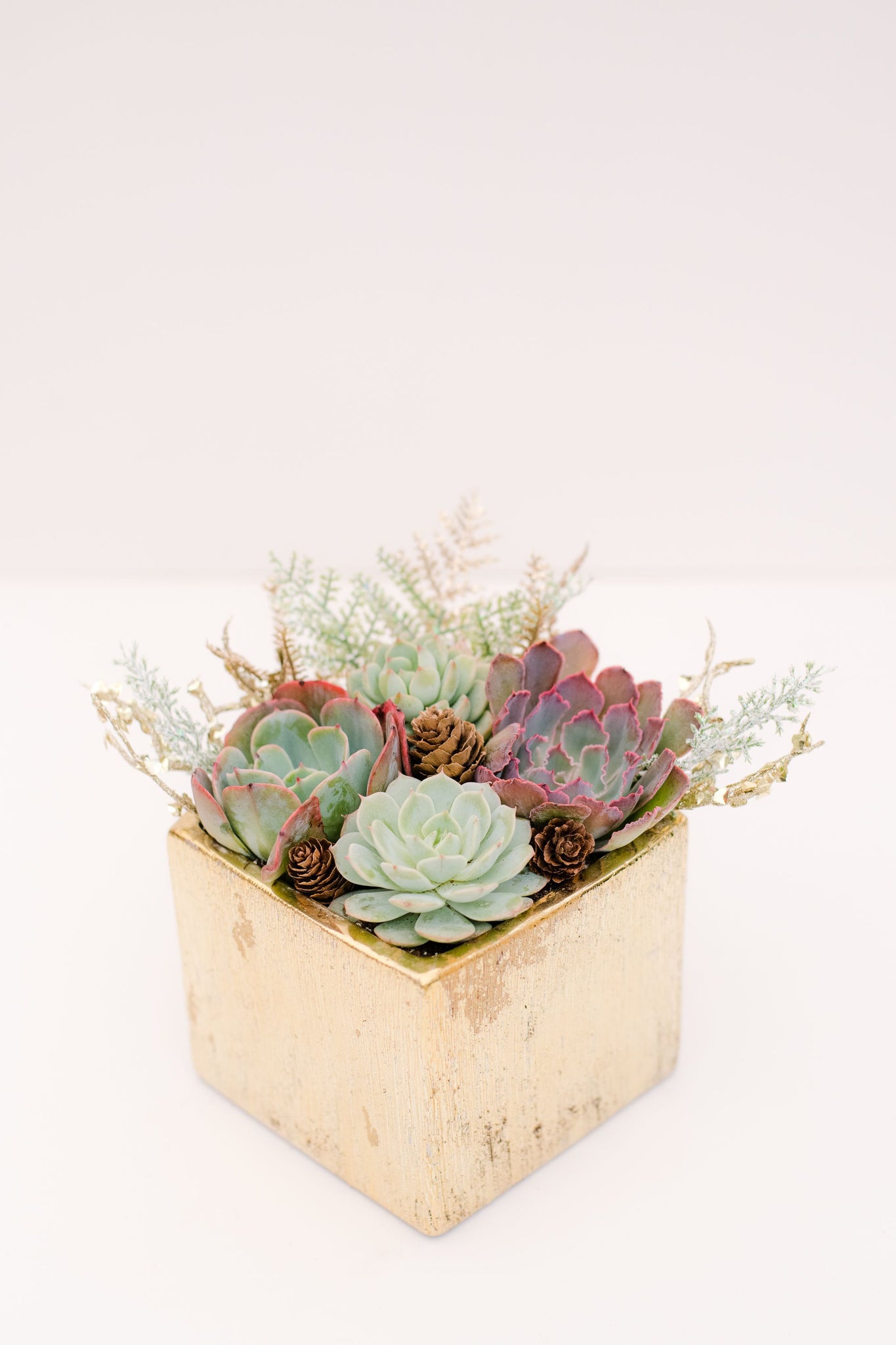 succulent gift arrangements DIY Glitzy Succulent Planter Kit – In Succulent Love