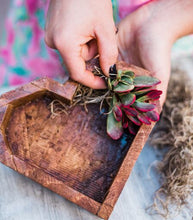 Wooden Succulent Heart DIY Kit