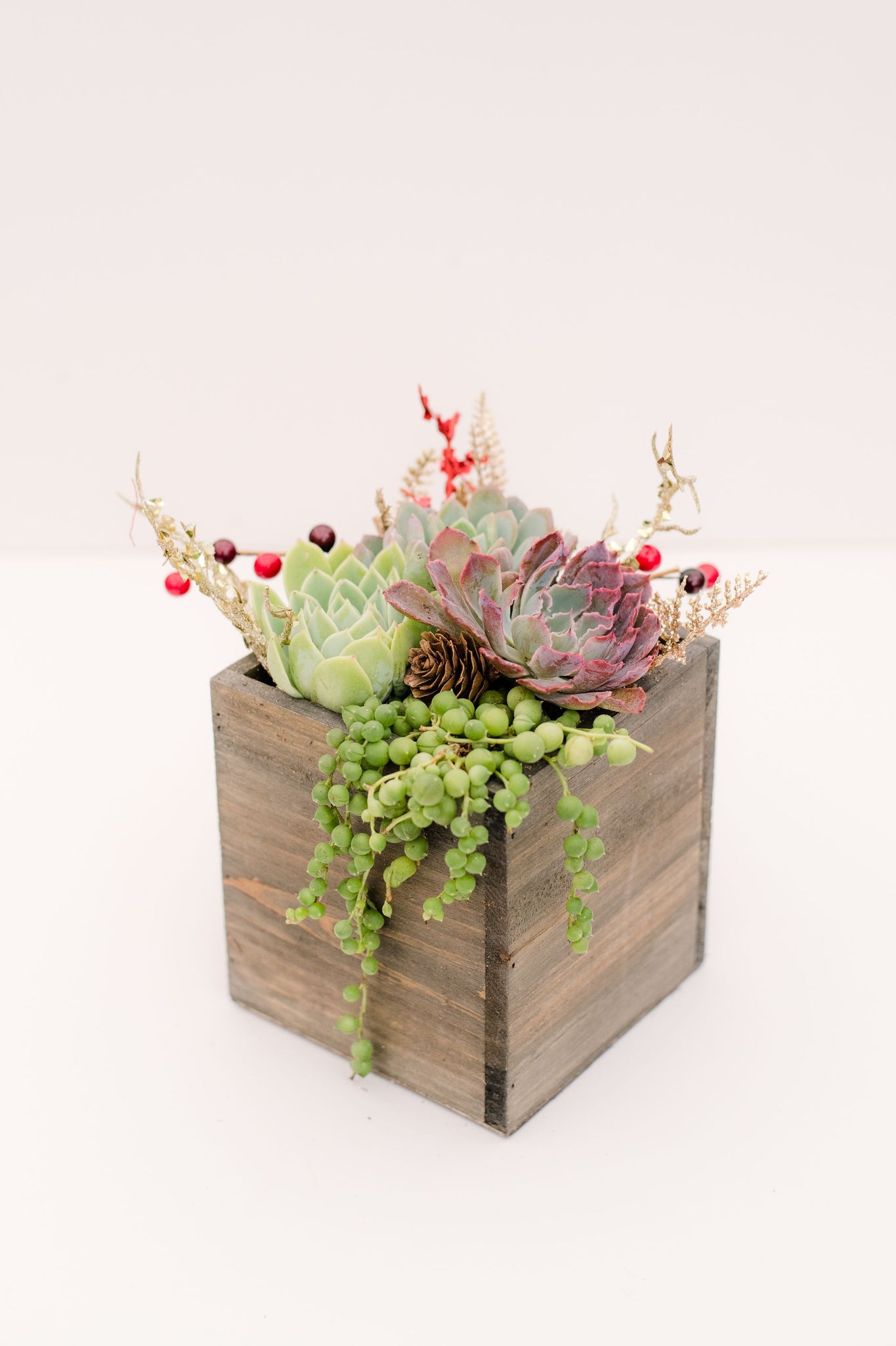 succulent wood planter diy DIY Festive Succulent Wooden Planter Kit (Gray)