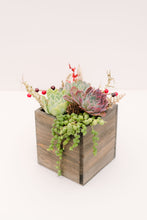 DIY Festive Succulent Wooden Planter Kit (Gray)