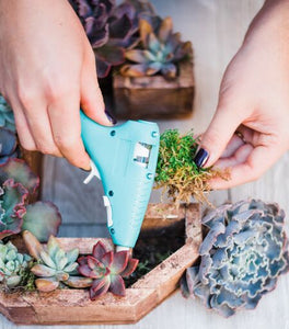 letters with succulents 12 inch Succulent Letter DIY Kit