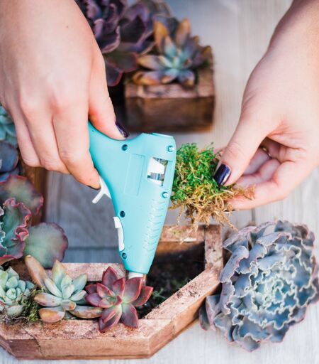 succulent craft kit 12 inch Succulent Letter DIY Kit – In Succulent Love