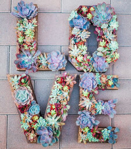 Wooden Succulent Letters