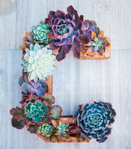 Wooden Succulent Letters – In Succulent Love