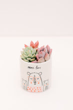 DIY Mama Bear Mini Succulent Planter Kit