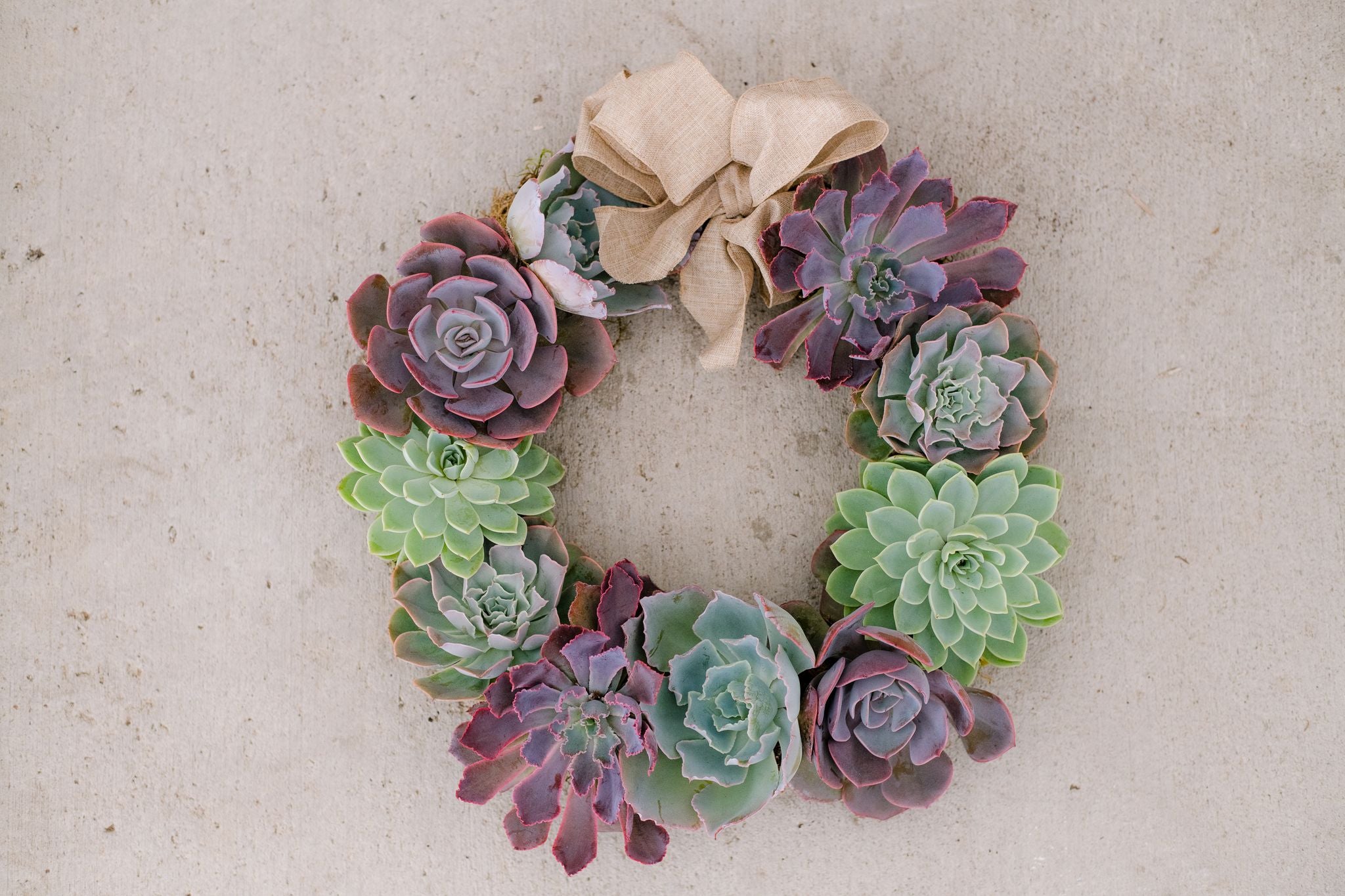 succulent wreath san diego Succulent Wreath Arrangement – In Succulent Love