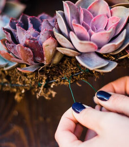 Succulent Wreath Arrangement