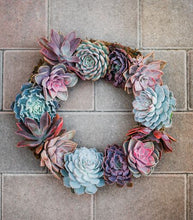 Succulent Wreath Arrangement
