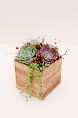 Festive DIY Wooden Succulent Planter Kit (Brown)