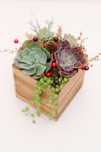 Festive DIY Wooden Succulent Planter Kit (Brown)