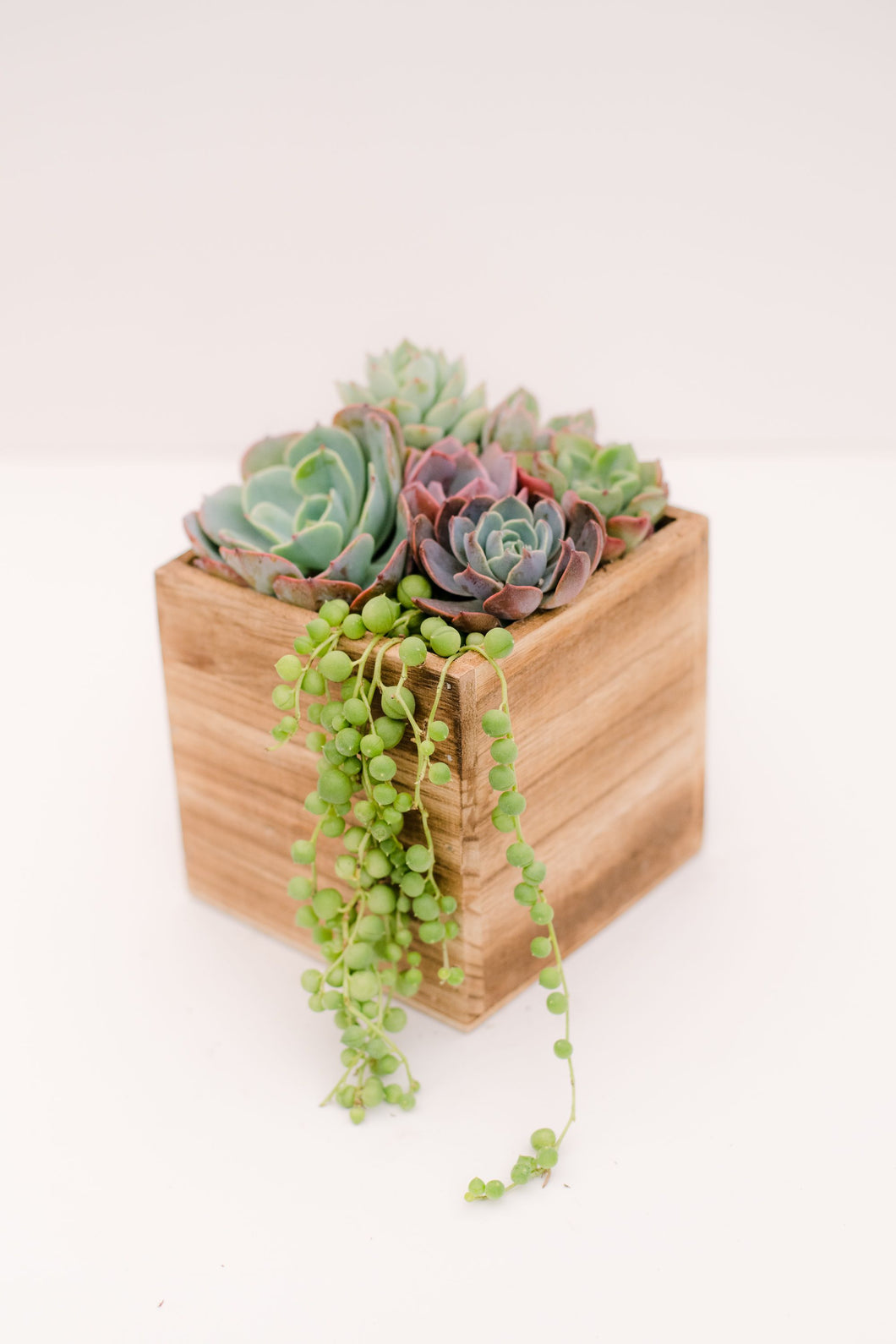 long succulent planter box DIY Wooden Succulent Planter Kit – In Succulent Love