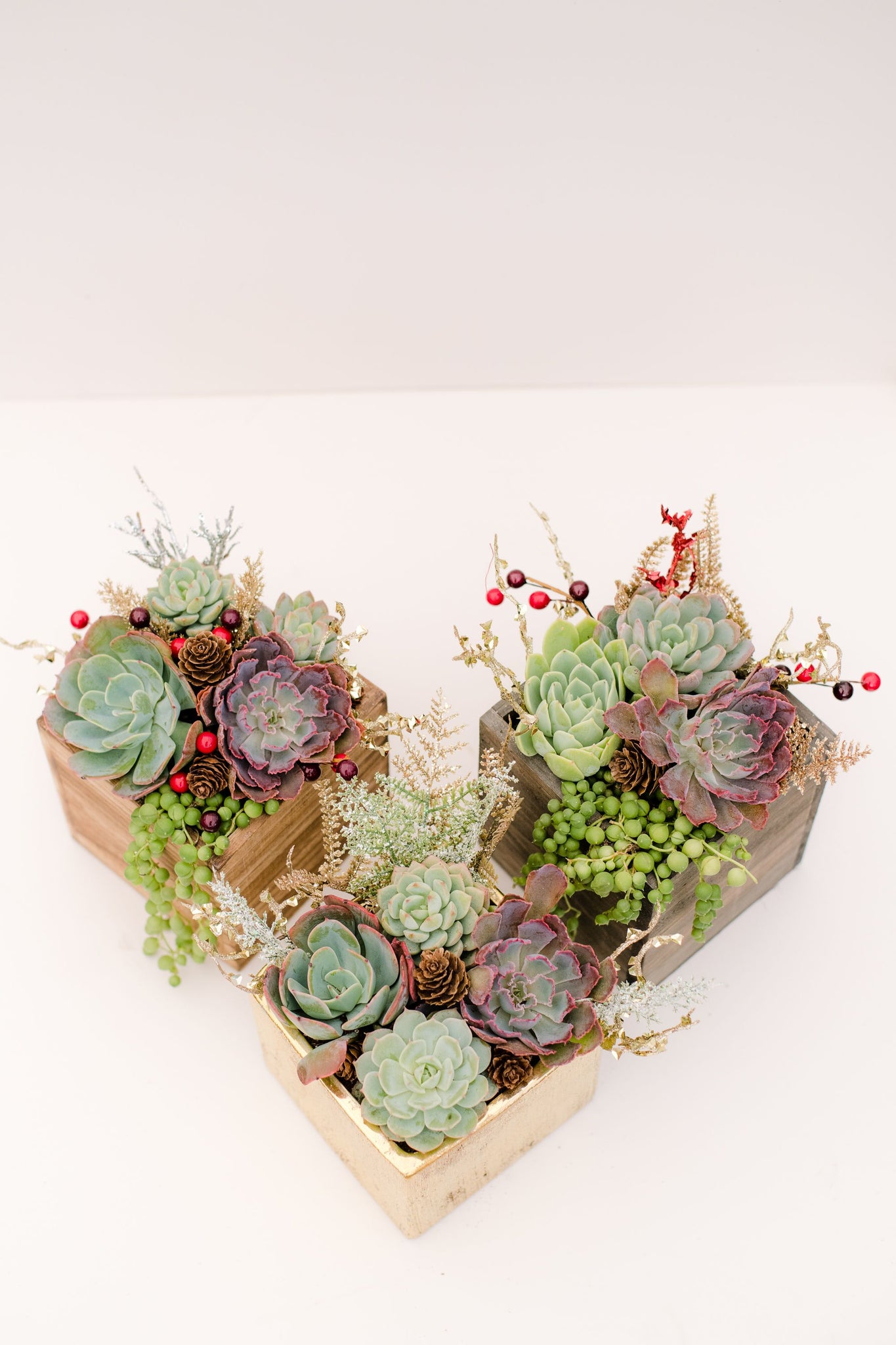 diy succulent planter kit DIY Glitzy Succulent Planter Kit