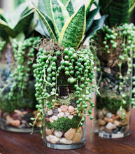Stylish Succulent Designs & Other Botanical Crafts DIY Book