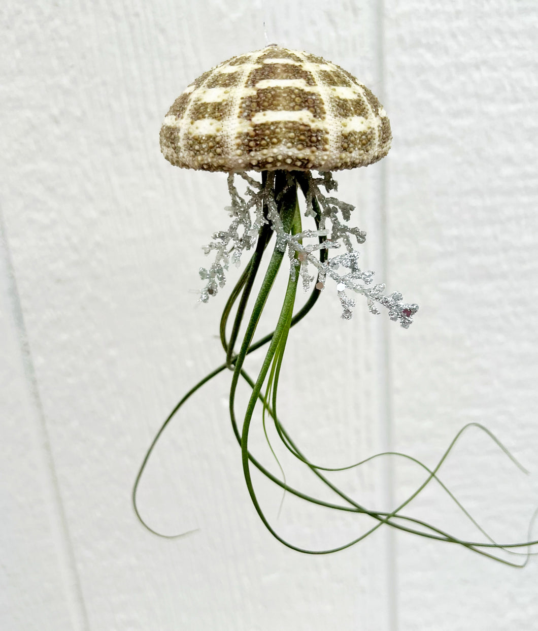 hanging air plant jellyfish Hanging Airplant Jellyfish – In Succulent Love