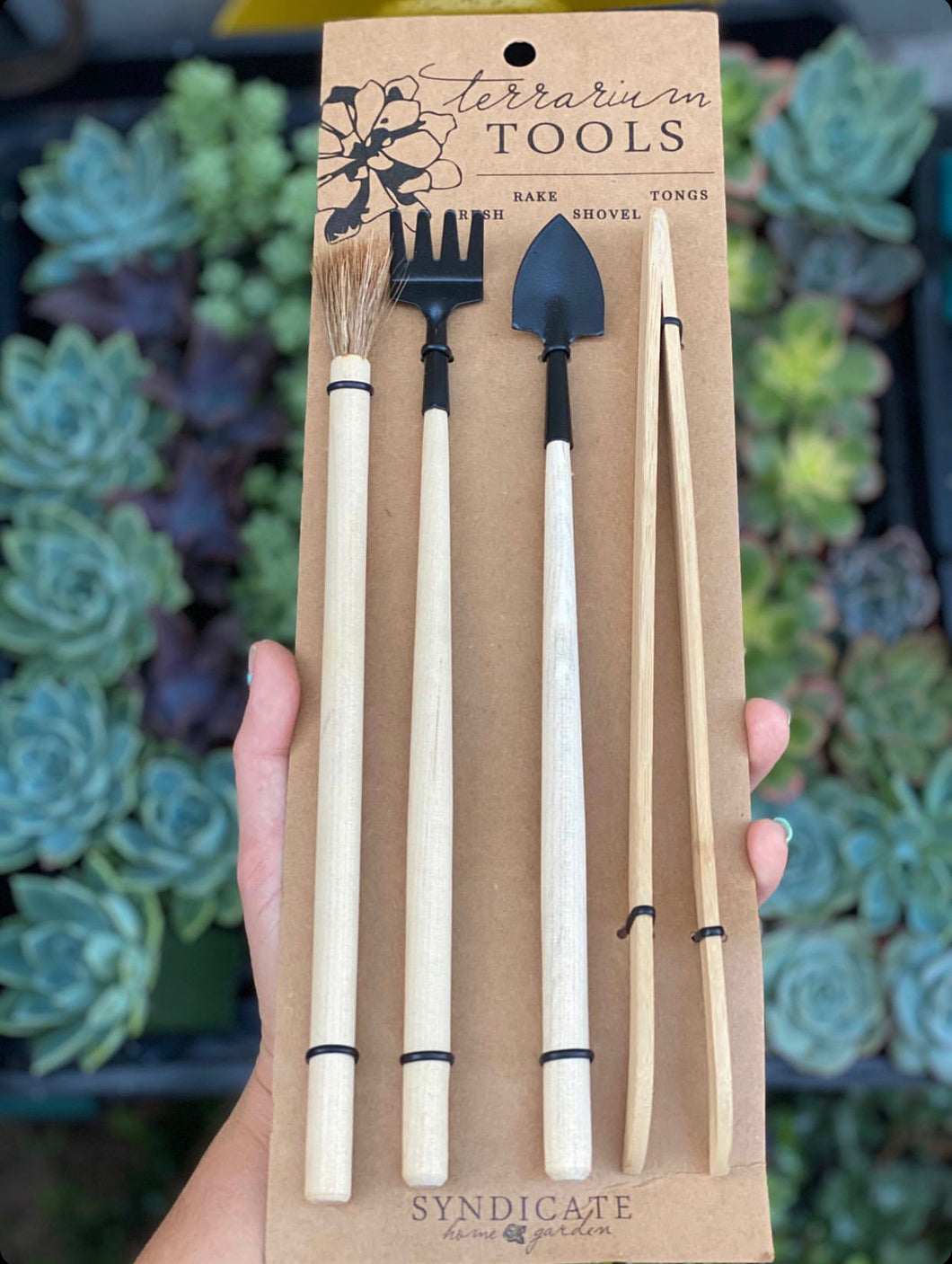 plant terrarium tools Terrarium Tool Set – In Succulent Love