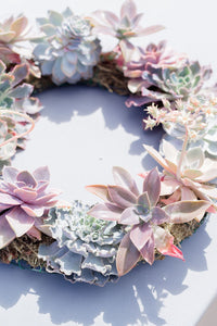 Succulent Wreath Arrangement